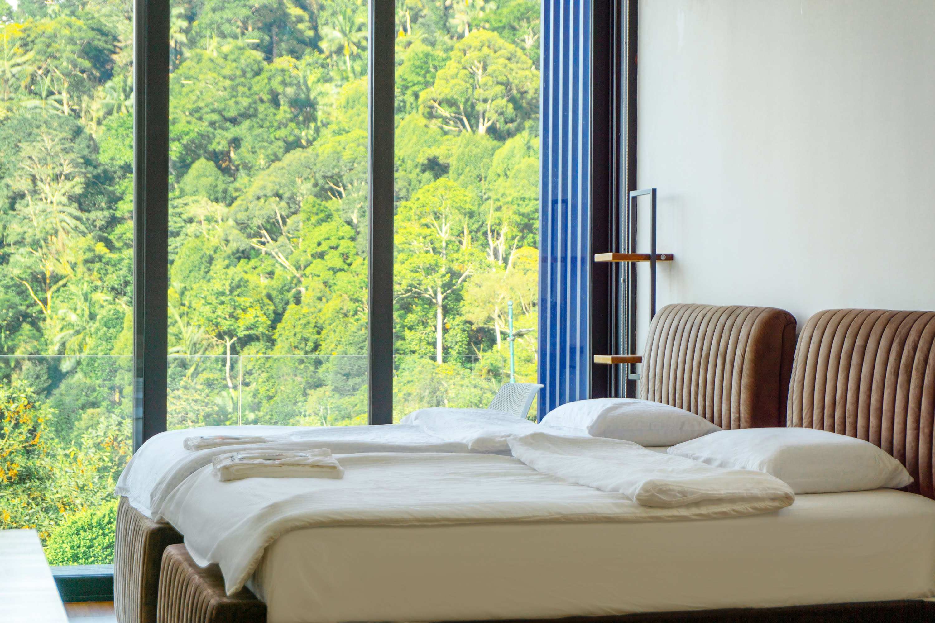 Room 4 with the two beds pushed together, towels folded on white linen, jungle through the glass.
