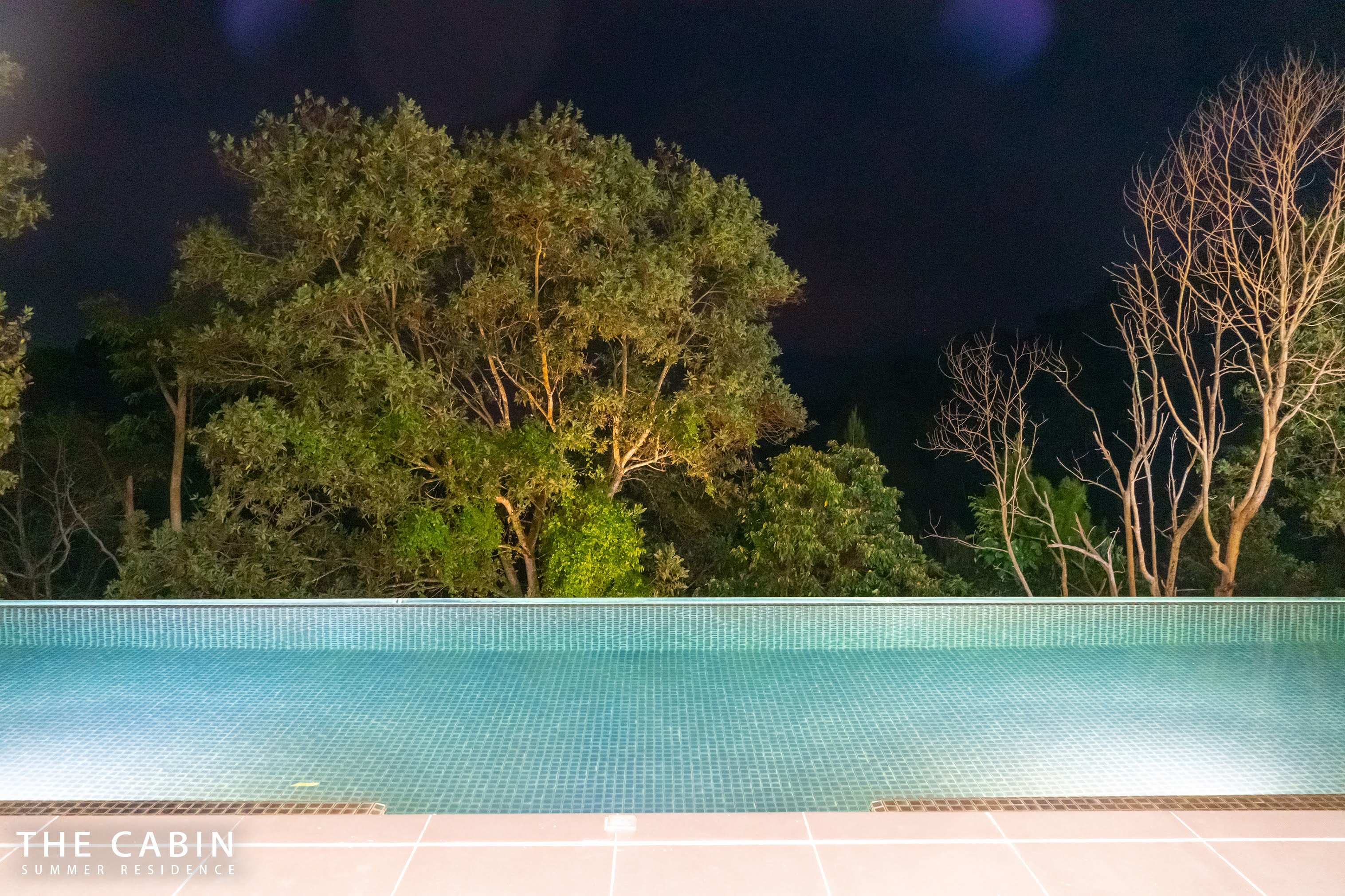 The infinity pool lit from within at night, spotlit trees behind it.