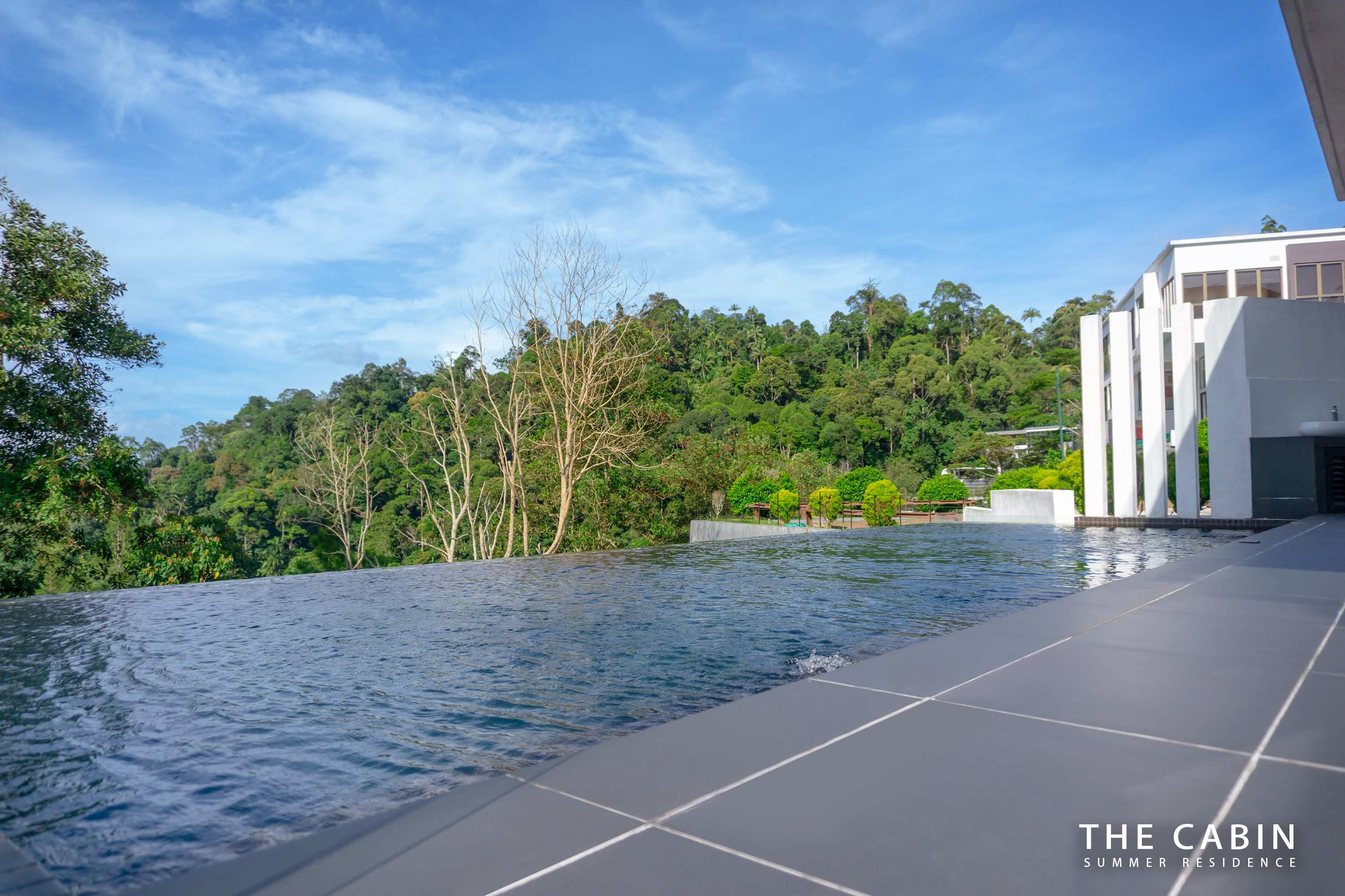 The infinity pool from the deck, its edge merging into the forest and mountain backdrop.