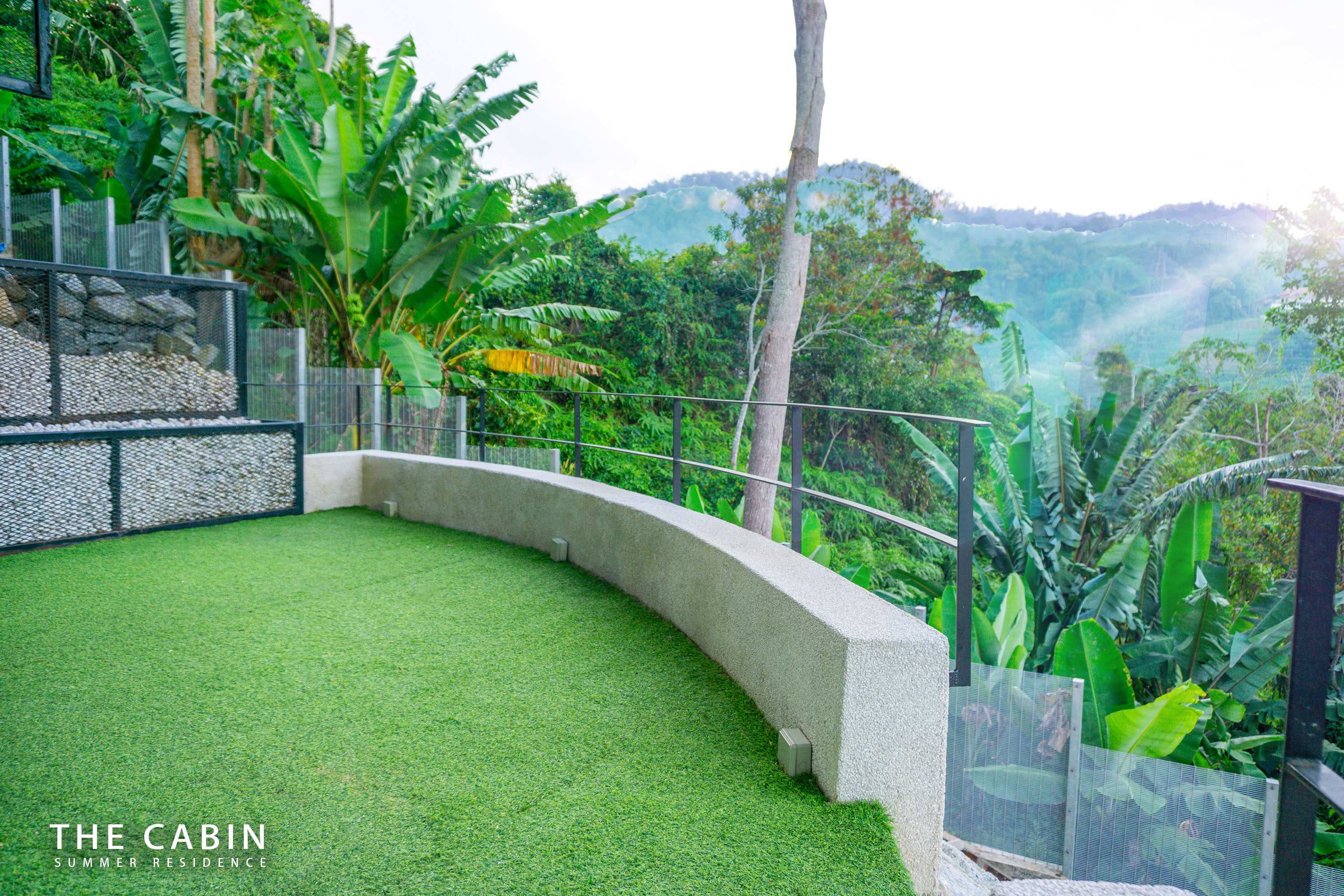 The turfed roof terrace with its glass balustrade above the forested slope.