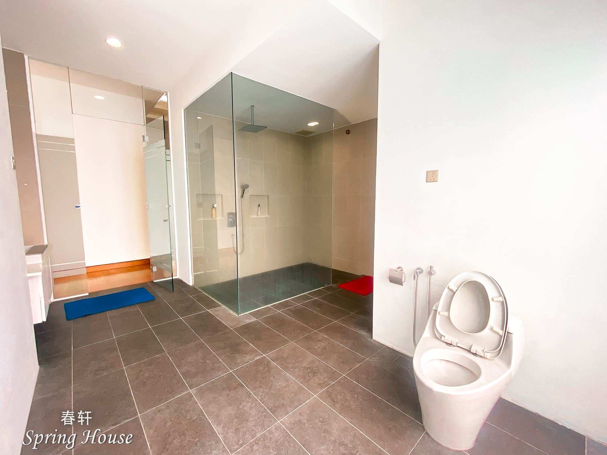 Bathroom with a glass shower stall and mirrored wardrobe doors, timber floor stepping down to tile.