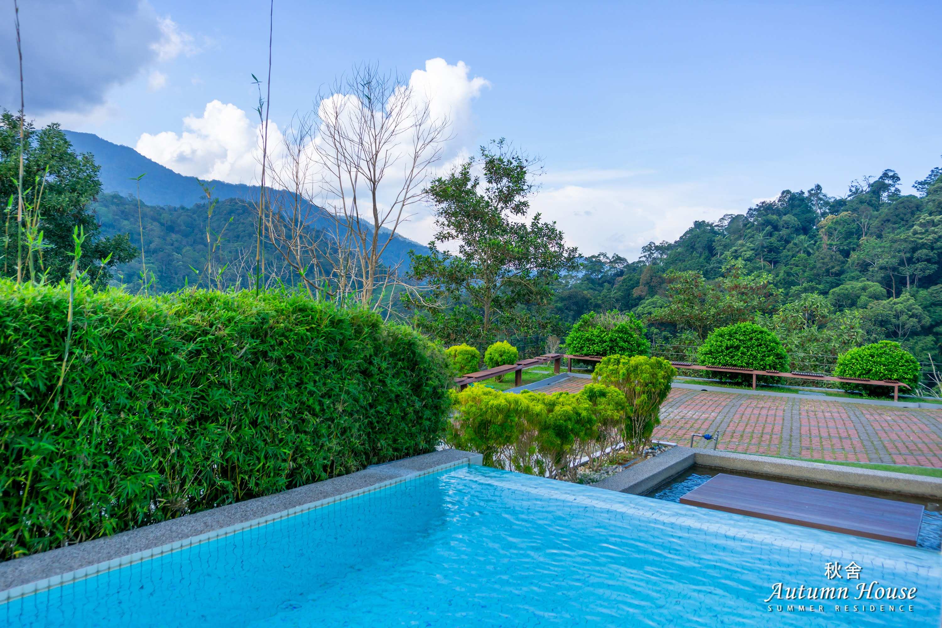 The infinity edge of the pool looking out to mountains and forest, timber sun deck to one side.