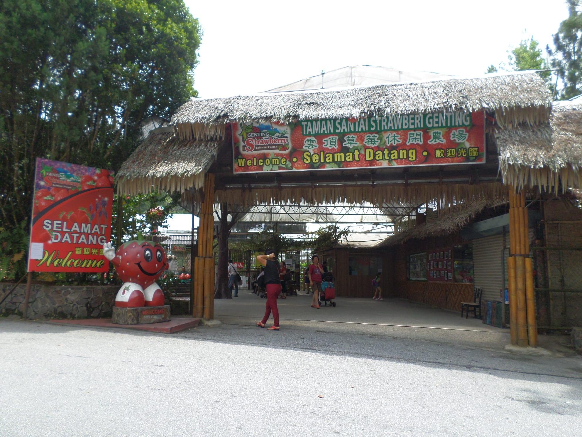 The thatched welcome arch of the Genting Strawberry Leisure Farms at Gohtong Jaya